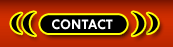 Transsexuals Phone Sex Contact Oakland